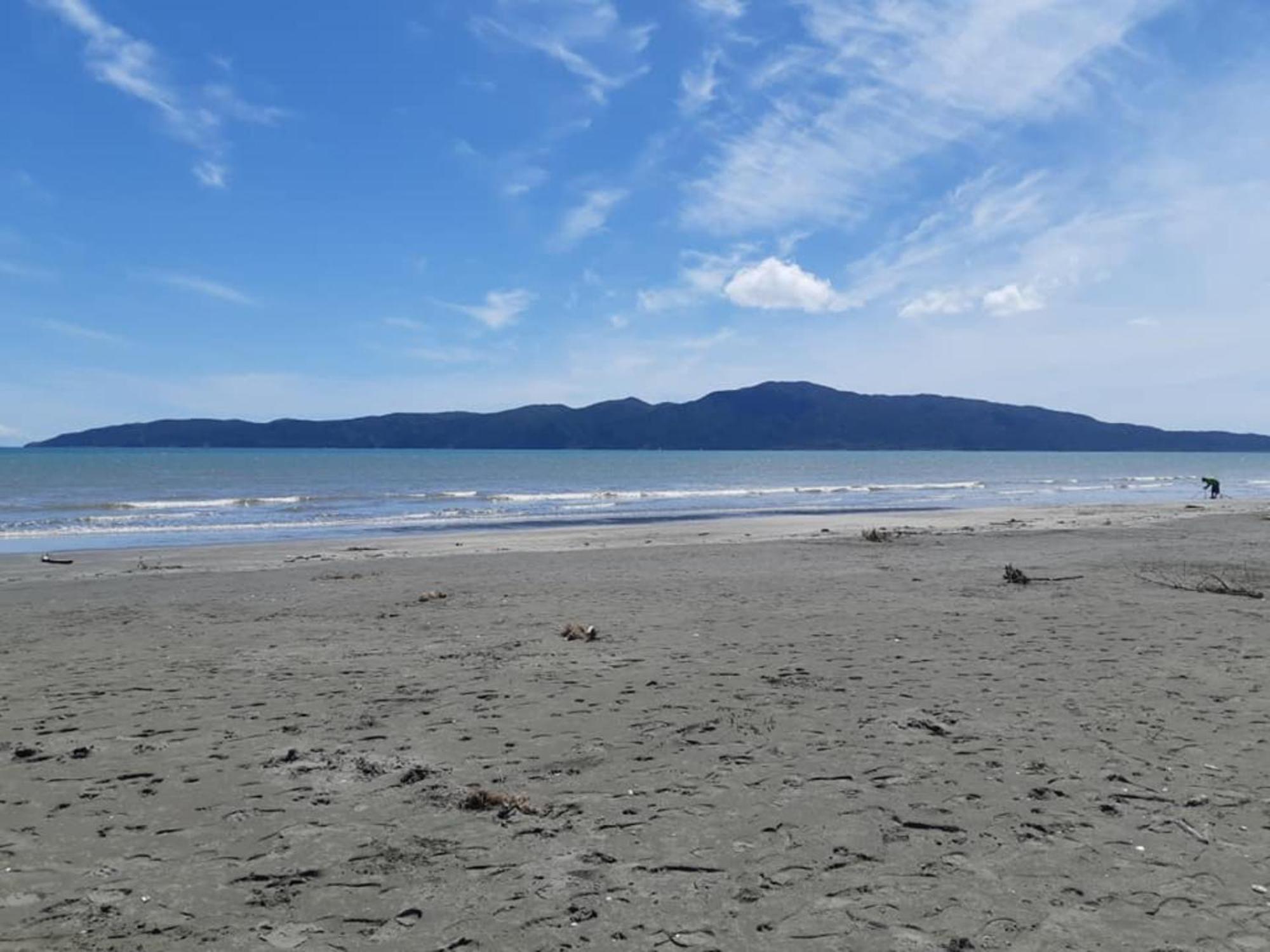 Raumati Guest House Paraparaumu Bagian luar foto