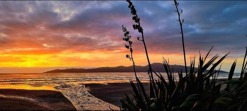 Raumati Guest House Paraparaumu Bagian luar foto